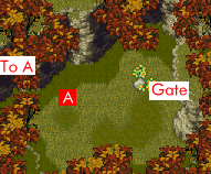 step2-0001.gif (12413 bytes)
