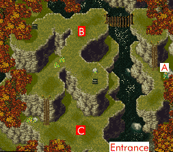 step2-0002.gif (24403 bytes)